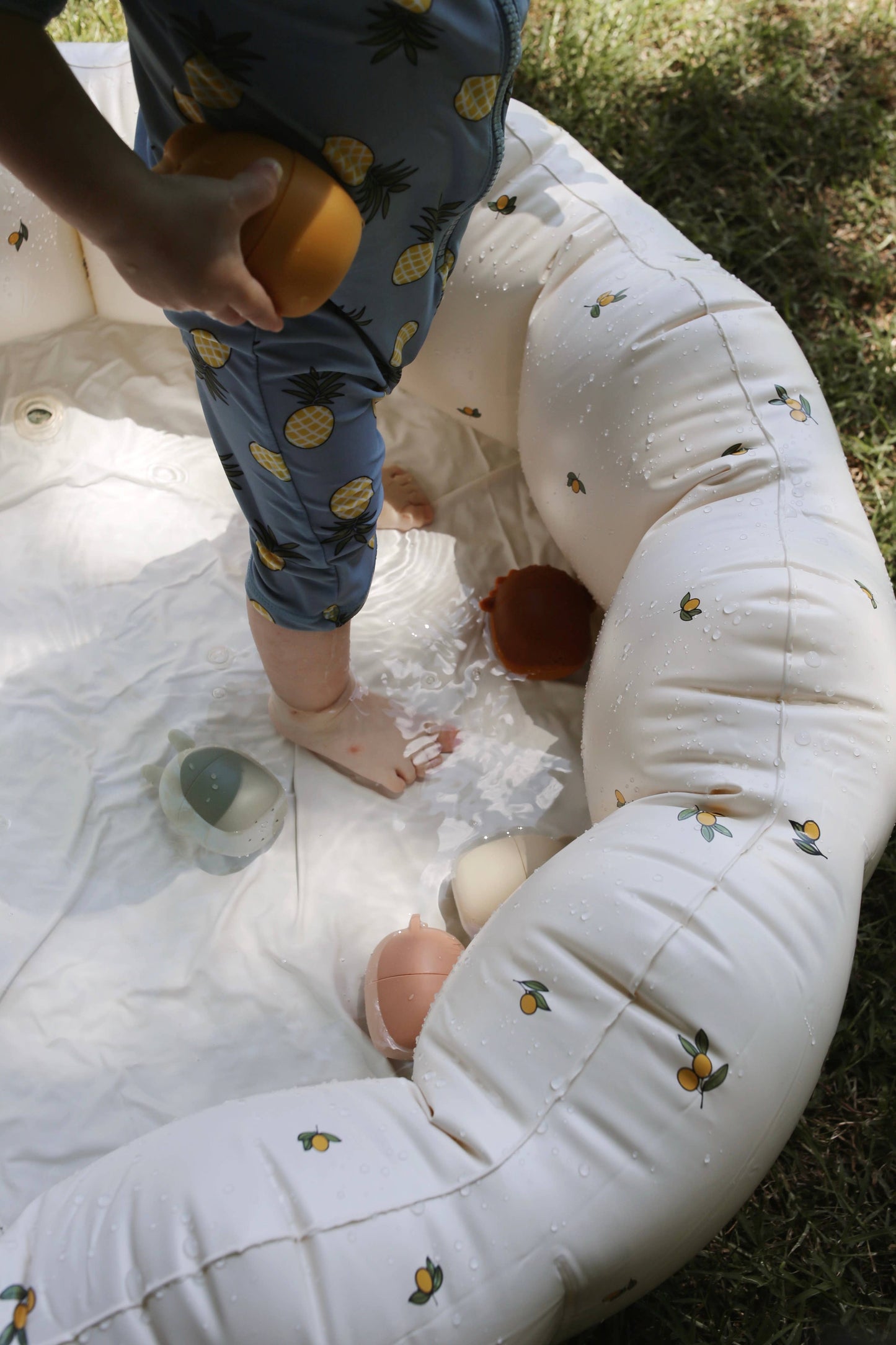 Animal Mold Free Silicone Bath Toy Set 